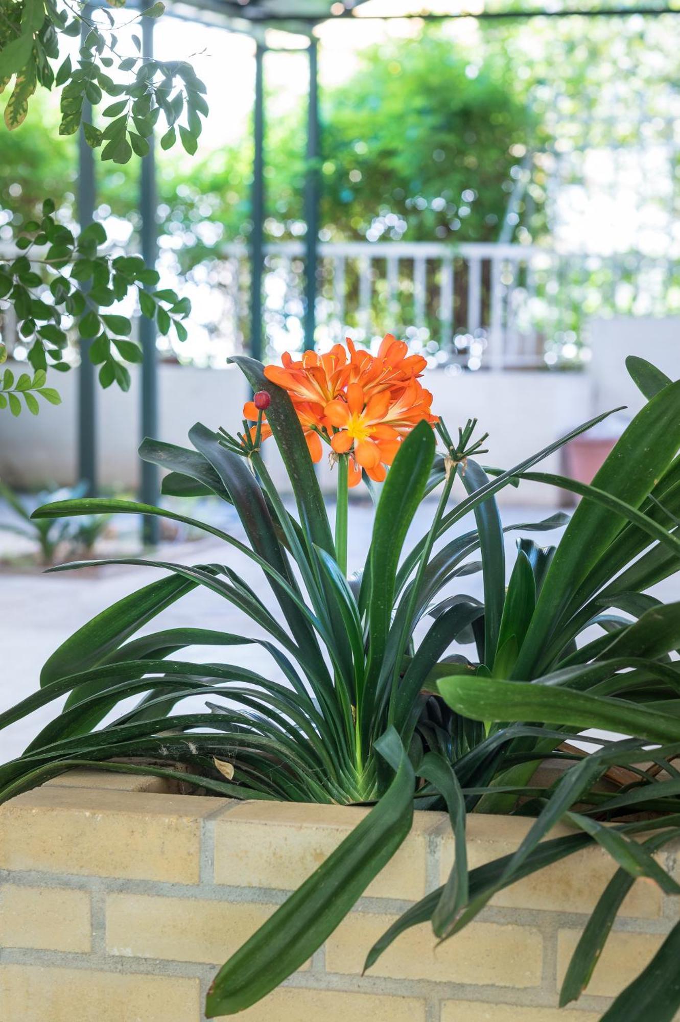 אתונה Glyfada'S Cosy Apartments מראה חיצוני תמונה