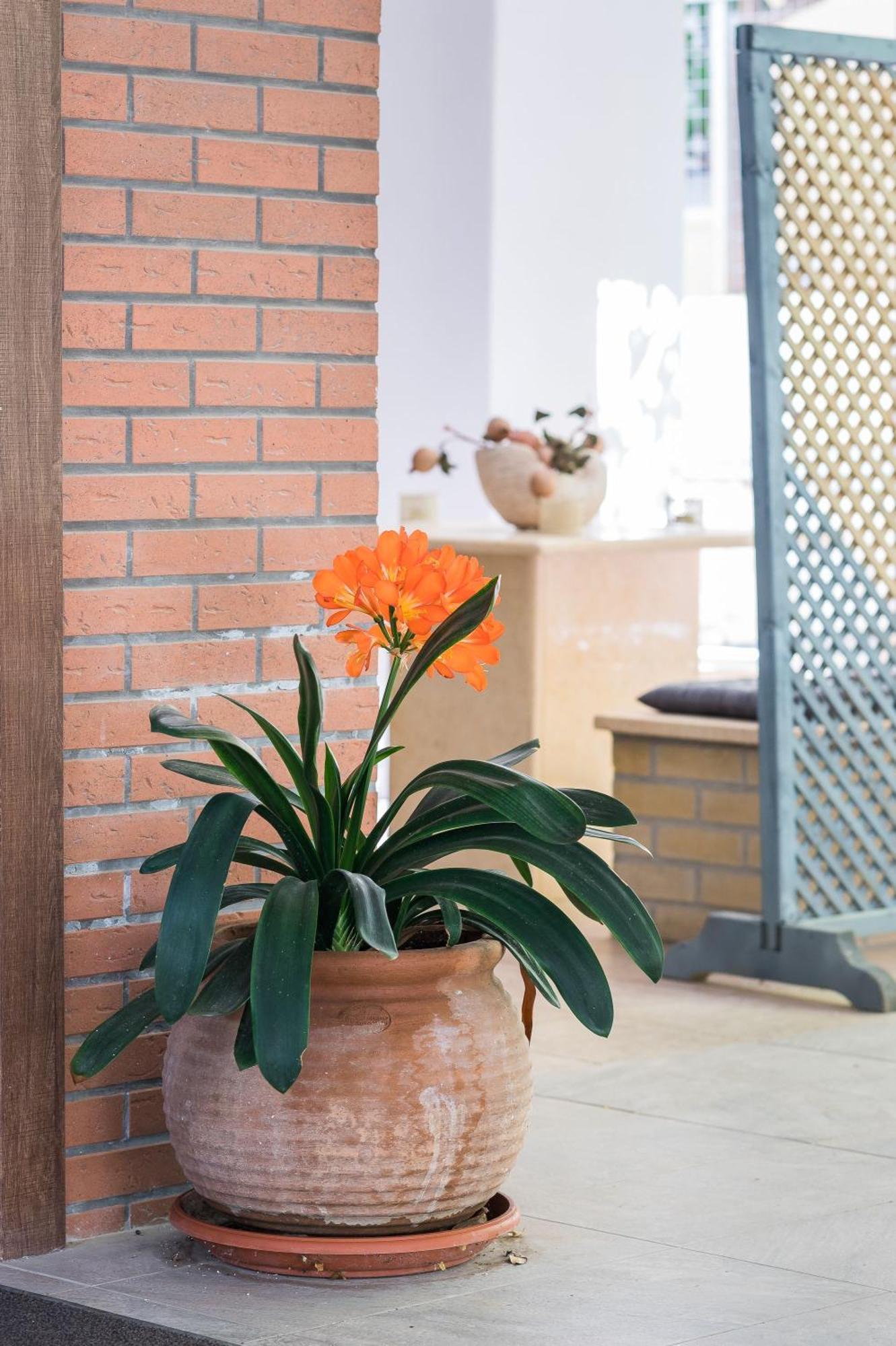 אתונה Glyfada'S Cosy Apartments מראה חיצוני תמונה